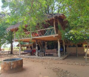 Verblijf in een Eco Lodge in Sri Lanka